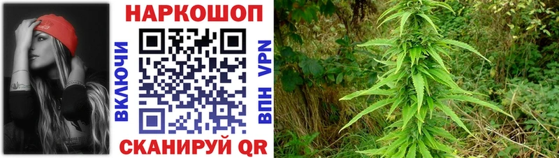 Виды наркоты Рыбное Cocaine  МАРИХУАНА  Меф  Гашиш 