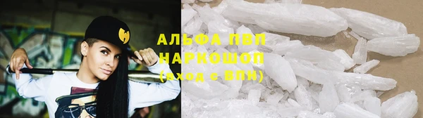 сатива Алзамай