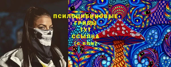 PSILOCYBIN Алексин